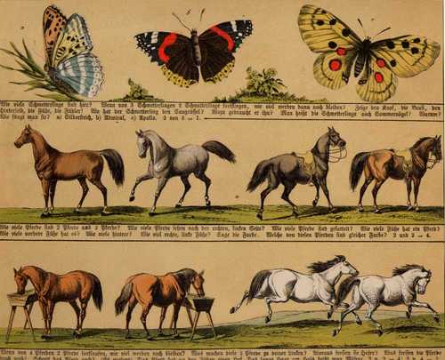 BOHNN'S NEUES BILDERBUCH/Varia - Wie viele Schmetterlinge sind hier? - Wie viele Pferde sind 2 Pferde und 2 Pferde? - Wenn von 4 Pferden 2 Pferde fortlaufen, ...