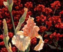Iris vor roten Blumen/Moderne Kunst -  Nikolaus STÖRTENBECKER