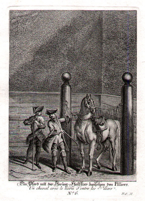 REITSCHULE/Sport - Ein Pferd mit der Spring-Halffter zwischen den Pilliers. Bl.6 aus "kleine Reitschule"