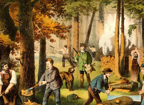 JAHRESZEITEN/Varia - Der Wald im Herbste