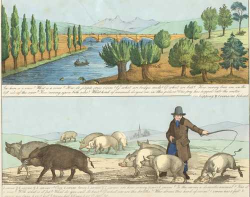 BOHNN'S NEUES BILDERBUCH/Varia - See: here is a river? What is a river? - 4 swine & 4 swine & 2 swine =?